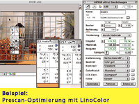 Beispiel LinoColor